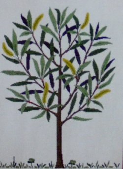 画像1: ヤナギ　属の木