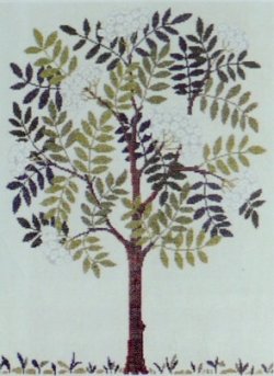 画像1: シナの木