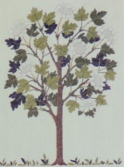 画像1: カンボク属の木