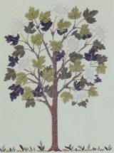 画像: カンボク属の木