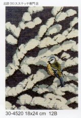 画像: 小鳥　雪の小枝　アオガラ