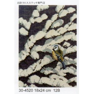 画像: 小鳥　雪の小枝　アオガラ