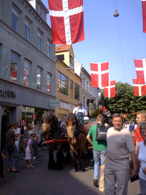 画像: 国旗の大好きなデンマーク人