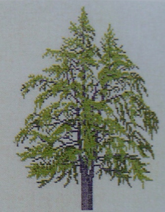 画像1: イチョウの木　tempeltræ