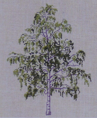 画像1: 白樺の木　birk