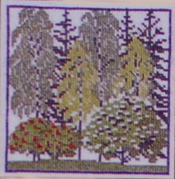 画像1: ブナの森林