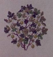 画像1: 木の実　