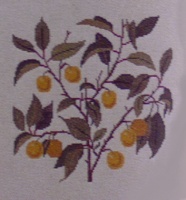 画像1: 木の実　