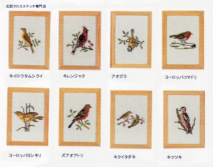 画像1: 小鳥　各種