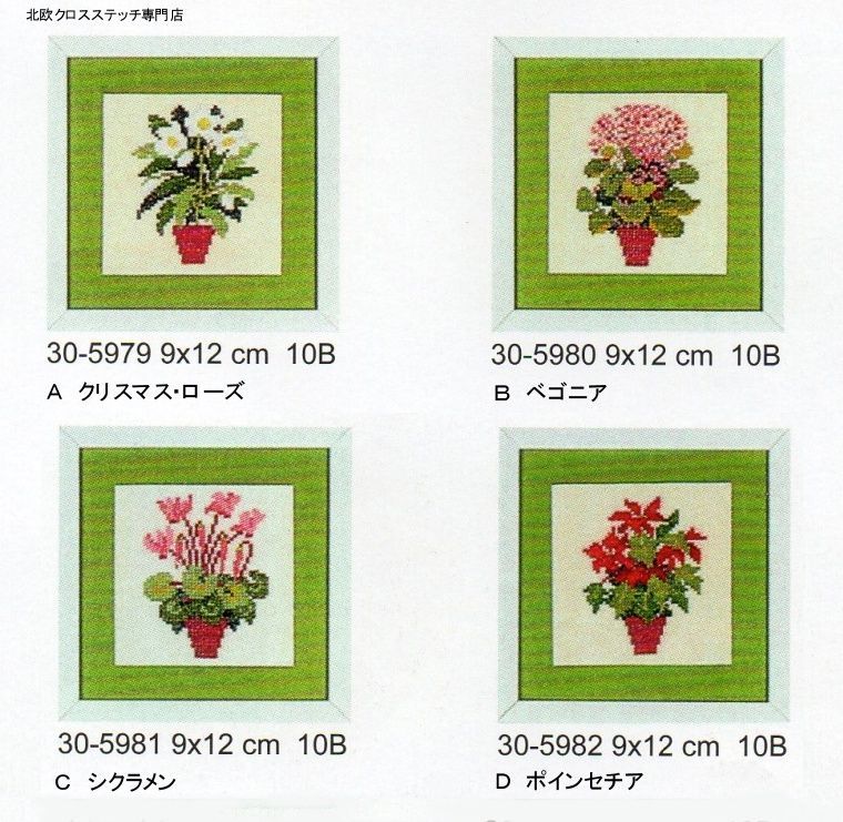 画像1: お花各種　ベゴニア・クリスマスローズ・シクラメン・ポインセチア