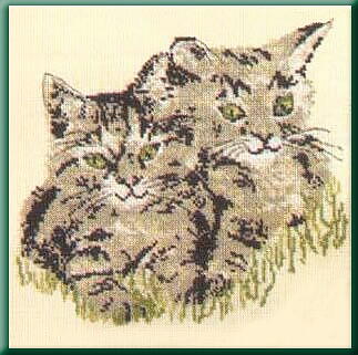 画像1: 芝生の上の猫ちゃん